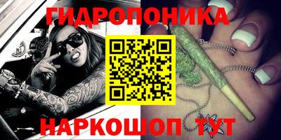 apvp Брянск