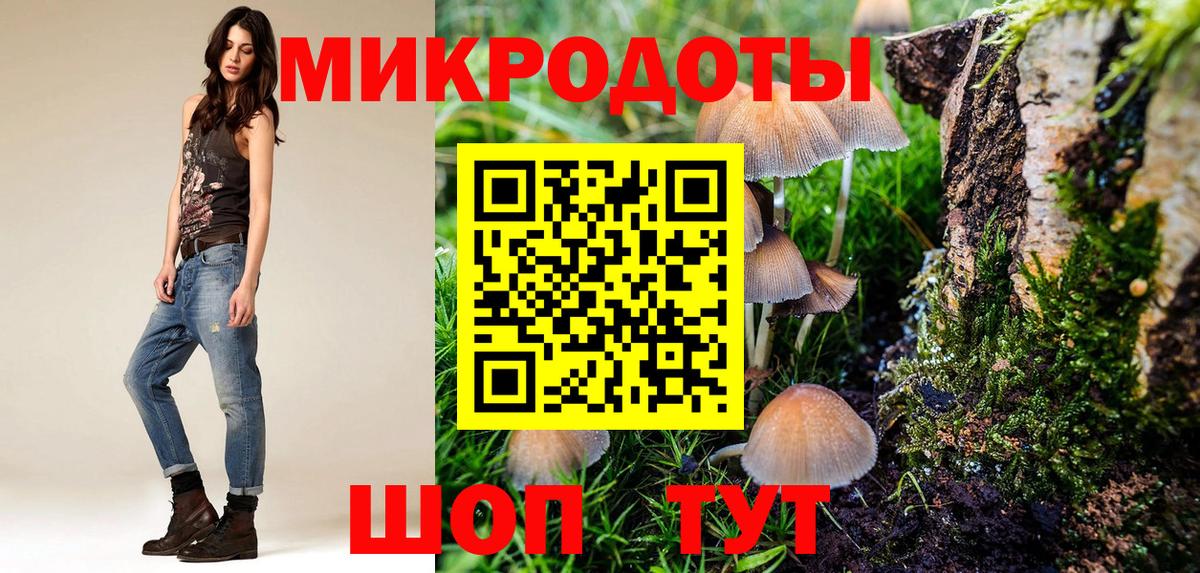 Псилоцибиновые грибы Cubensis Новодвинск